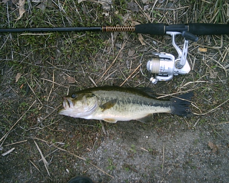 5-8-08 - Lake Maspenock - 8th of 12 fish