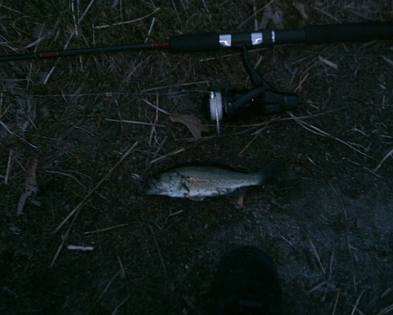 5-8-08 - Lake Maspenock - 11th of 12 fish