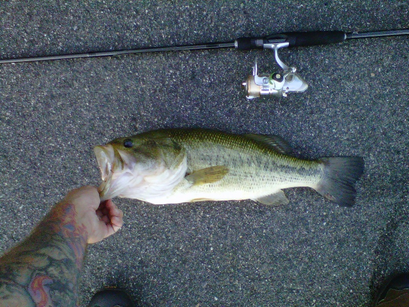 Other Picture of 21-1/2" 4-1/2lb Largemouth