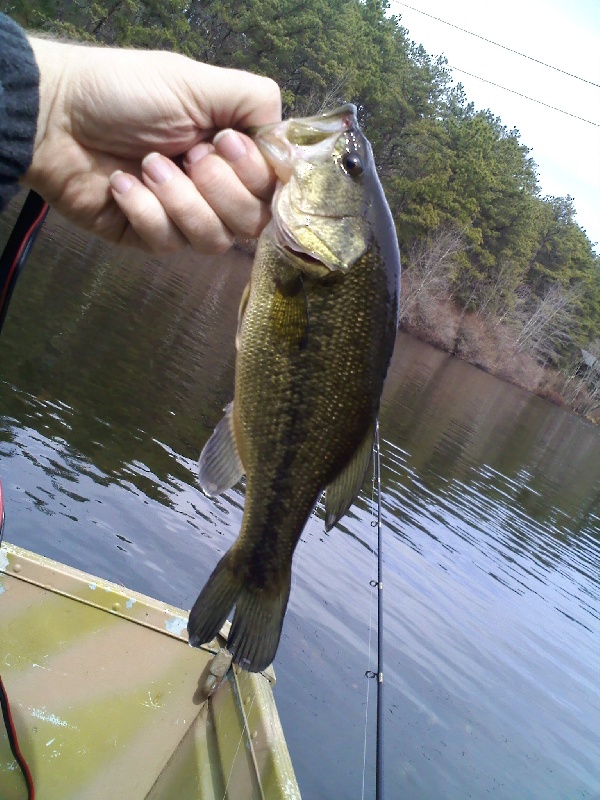 The first fish of 2011!
