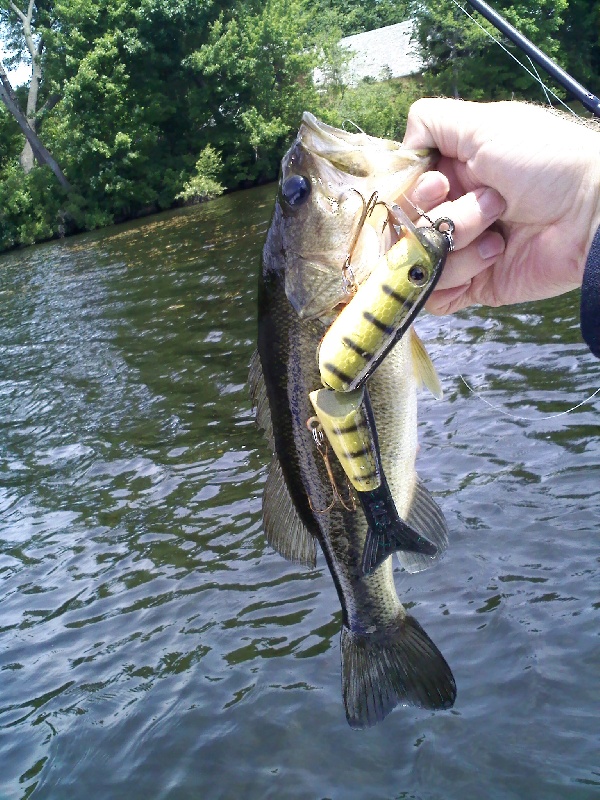 Ambitious Guy! 7" Slammer is no match!