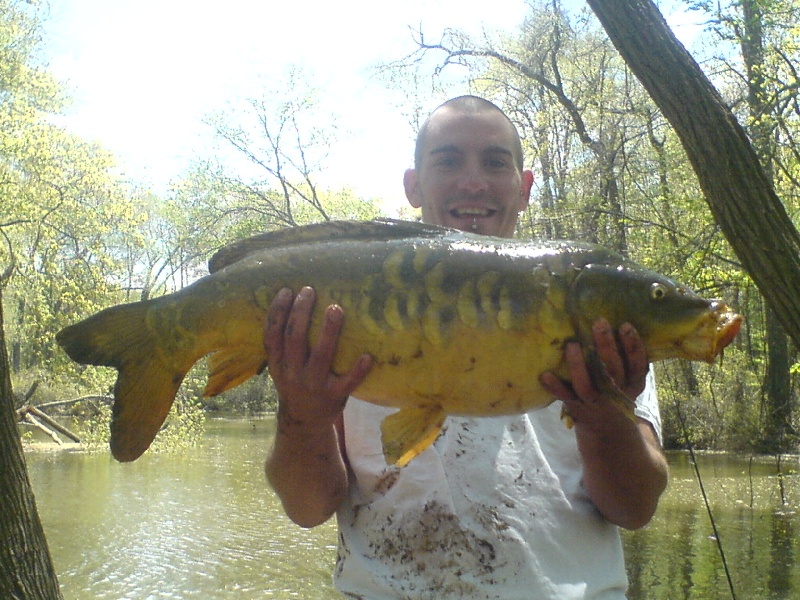 22 lbs carp
