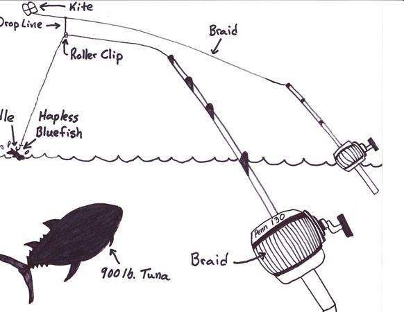 Kite Fishing Diagram