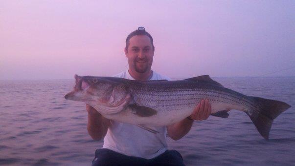 Cape Cod Bay Striped Bass