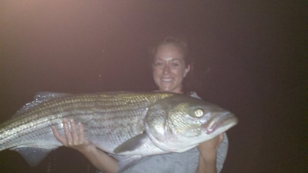 Big Cape Cod Striped Bass