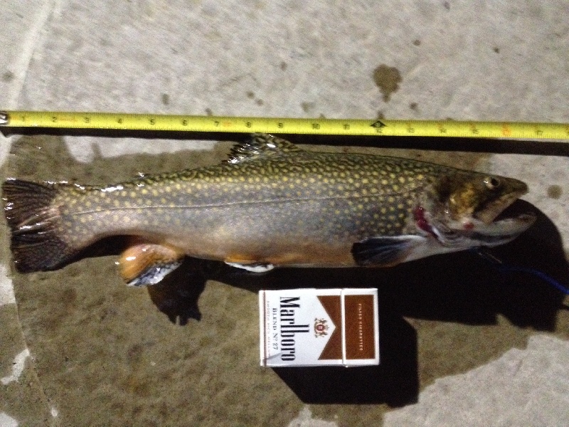1st trout of the 2014 season