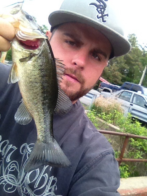 Meadowbrook largemouth on a red and white 2gold blade spinnerbait