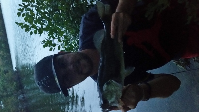 Olney pond bass in Lincoln woods