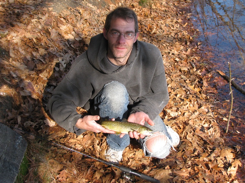 Mr. Brown Trout