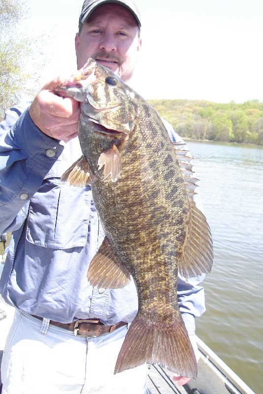 Smallmouth caught on Candlewood Lake