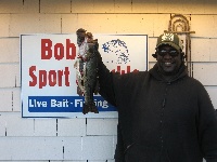 NORTH SALEM  Fishing Report