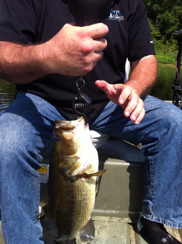 Hubby's 4 1/2 lber