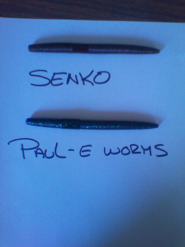 Senko's vs Paul-E Worms