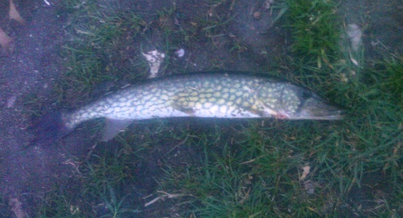 first catch of 2010