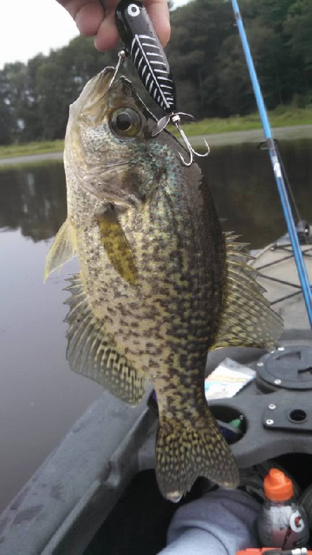 Having a Crappie Time