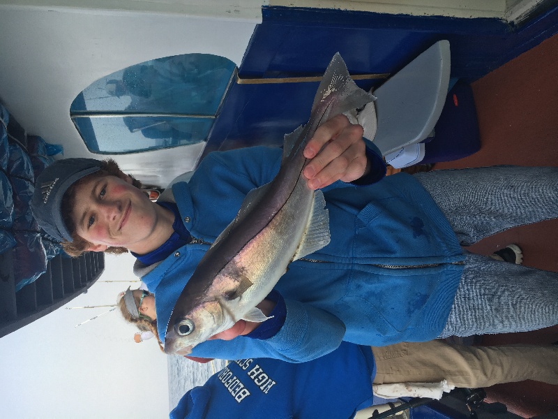 17 inch keeper haddock