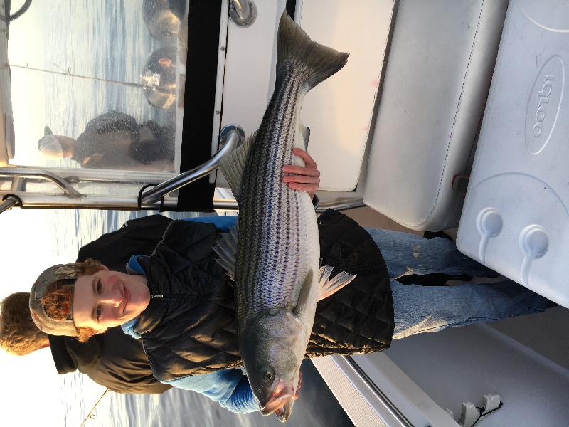 First striped of the day, 38 inches