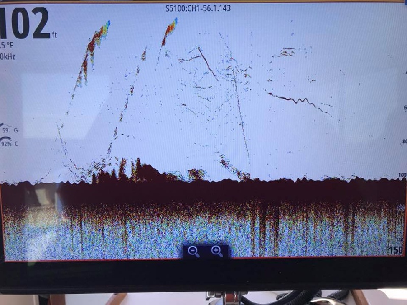 Tons of fish on the fish finder