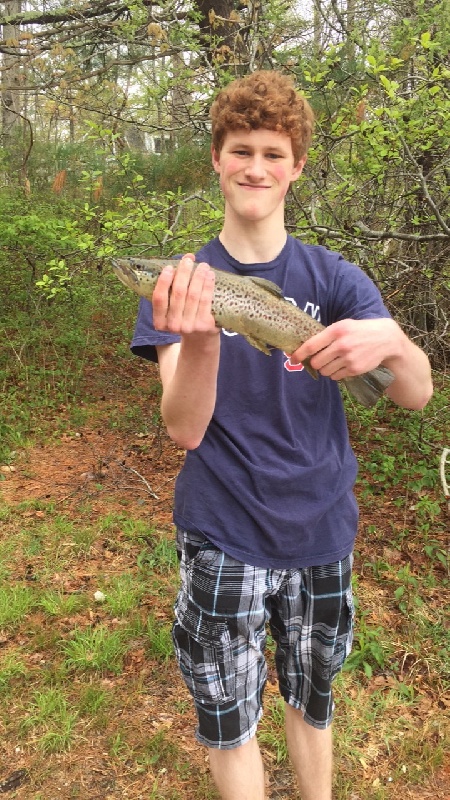 16.5 inch Brown Trout caught in Plymouth