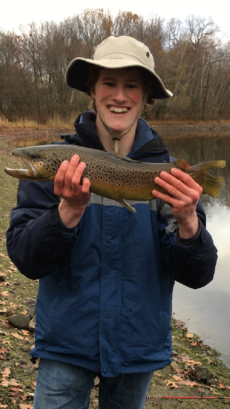 Monster Brown Trout