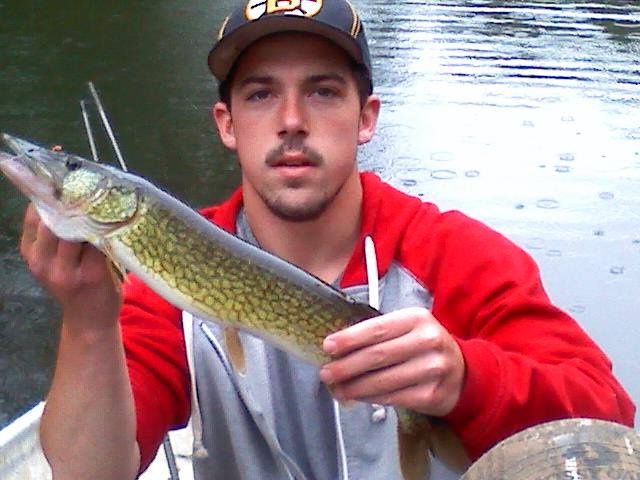 pickerel or baby pike