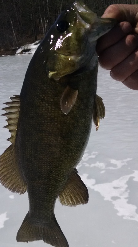 Reference smallie from same spot
