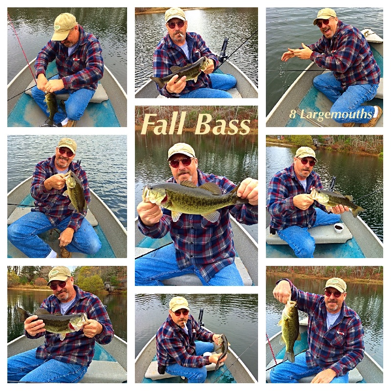 Fall Bass