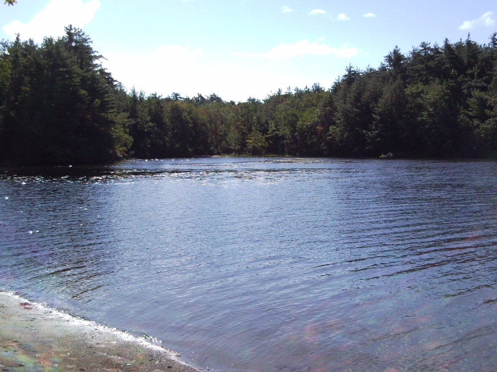 One of many shore spots to fish on the campground