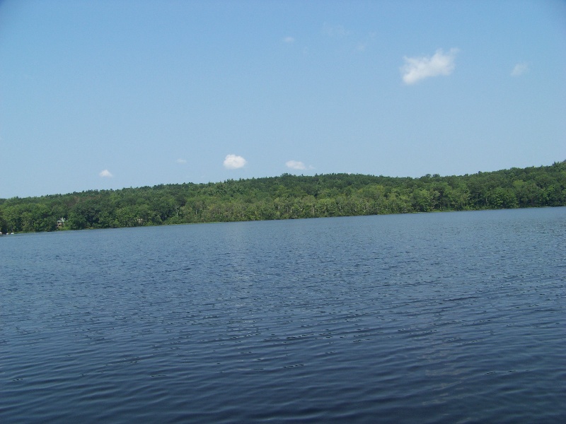 Black Pond View