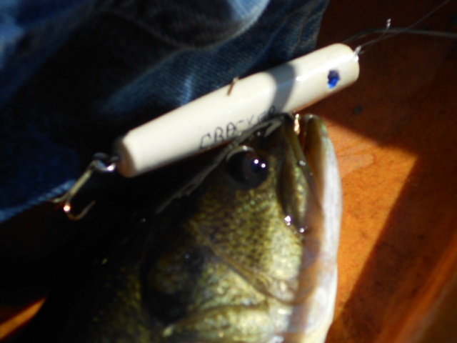 My lure "The Cracker"