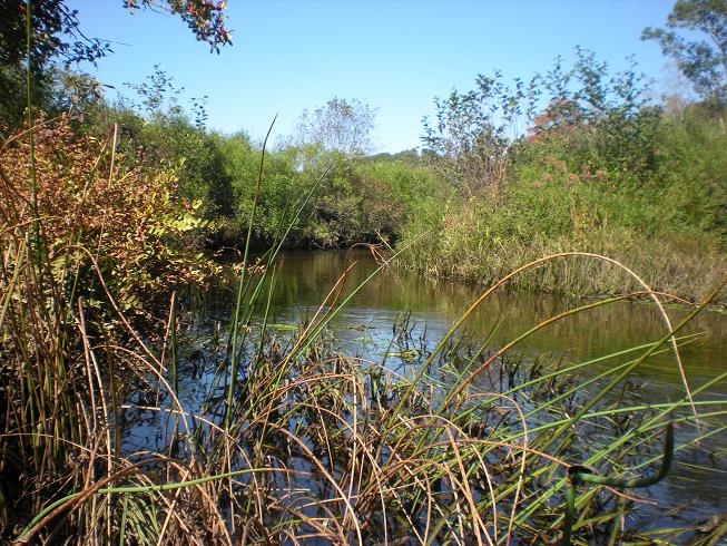 Dickenson Creek