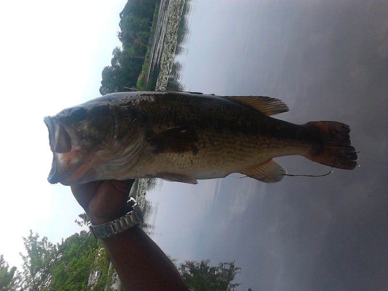 Knapps lake Islip, Long Island