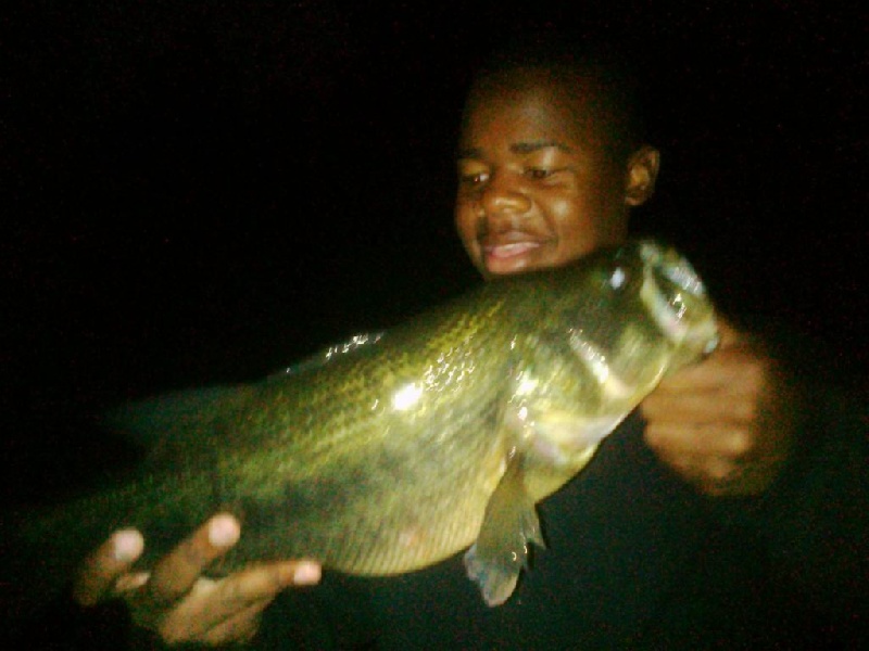 night time bassin