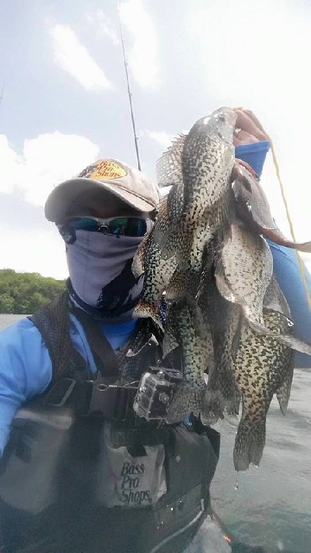 Crappies galore