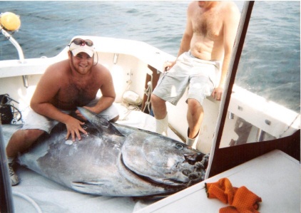 650lb Wide Boy Bluefin Tuna