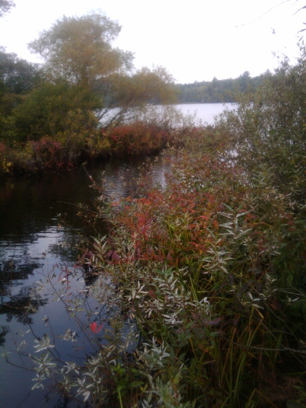 Long Pond 