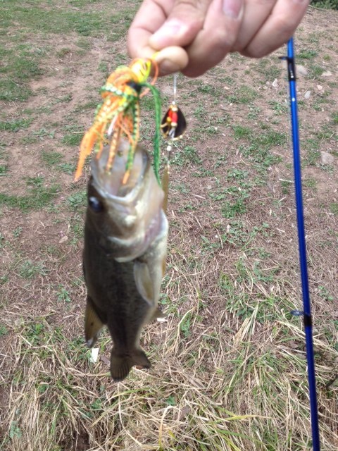 my first largemouth bass near New Square