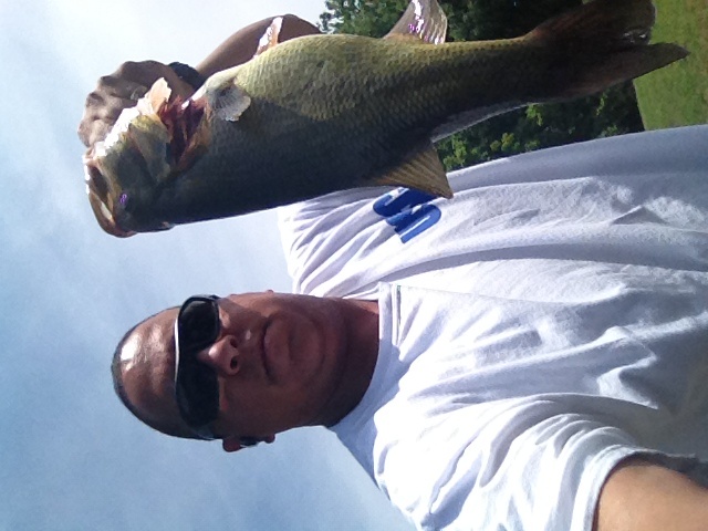 What a pig on a live target crank bait 