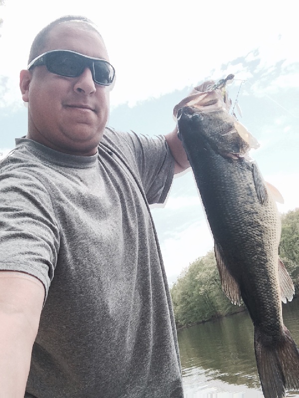 Nice bass on  spinner bait