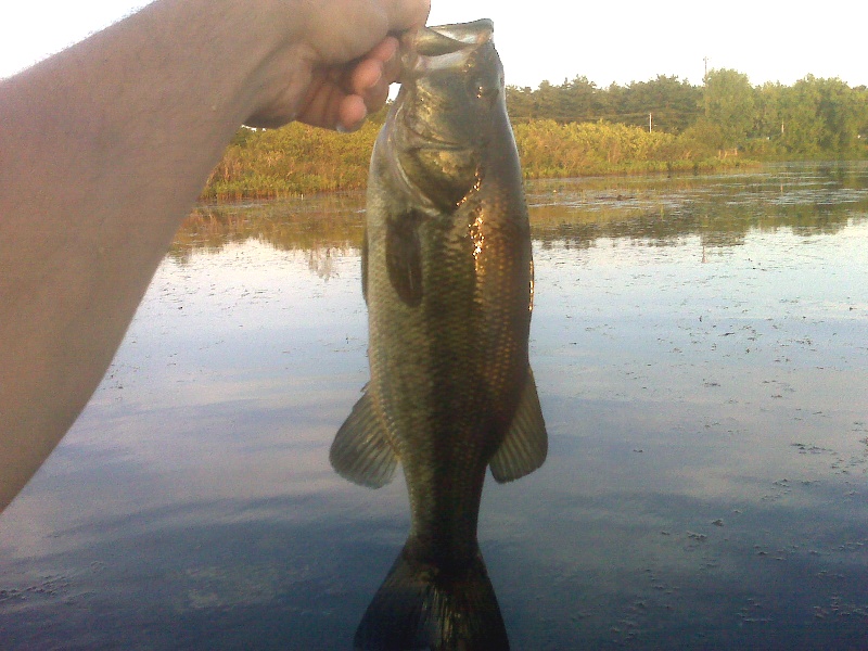 1st Bass With Yak