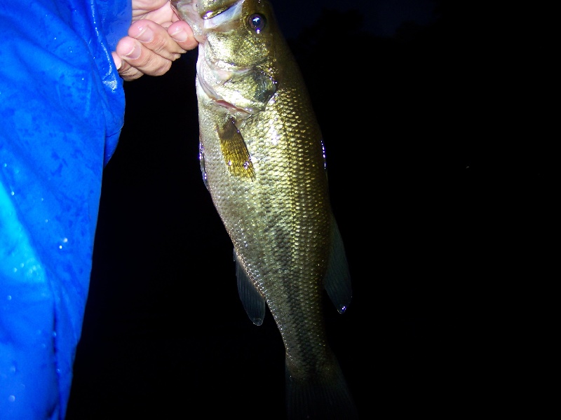 Another Bass Lake Mizzle