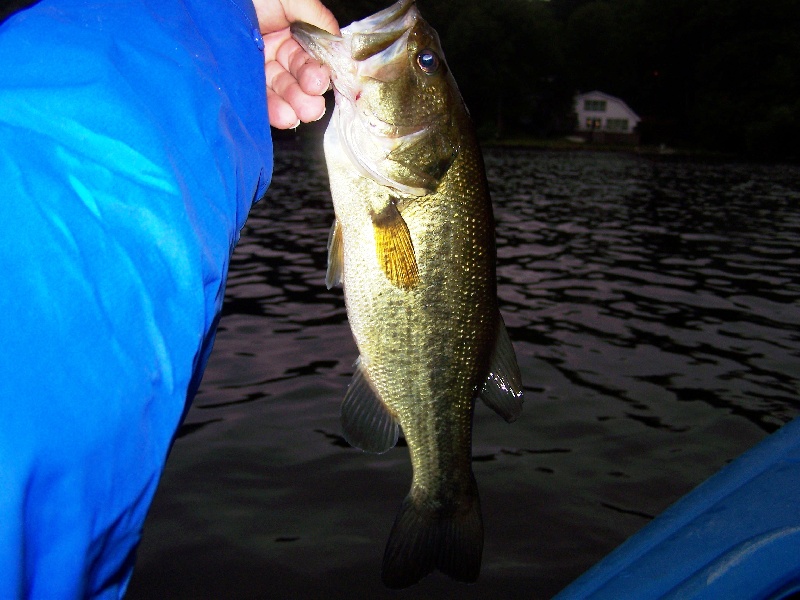 Bass 4 of July 14th