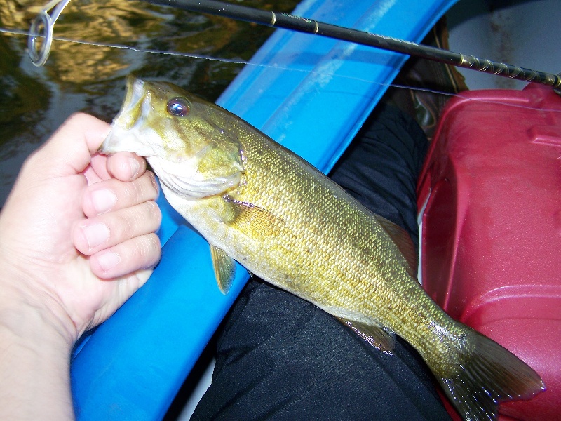 Smallie! Only like a pound but nice fight