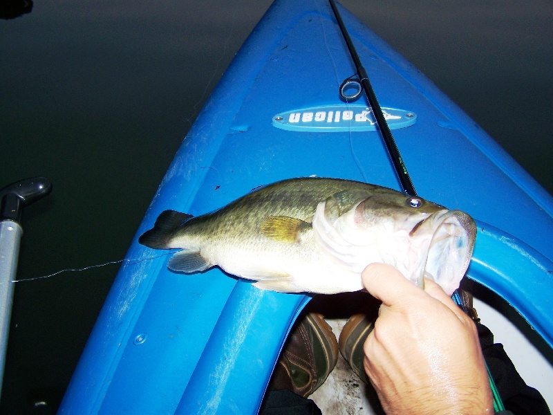 2lber Side Pic