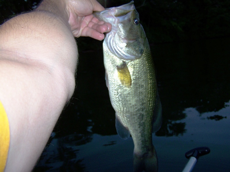 2lber Up to Down Pic