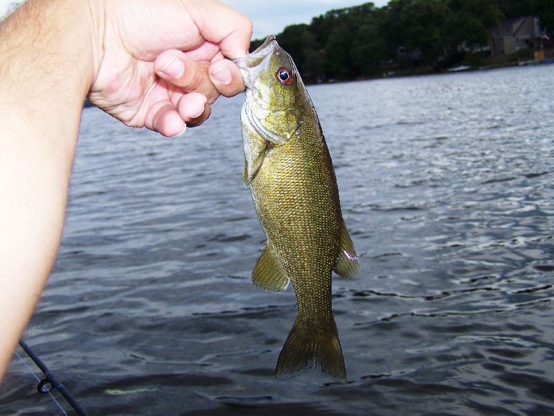 Small smallie
