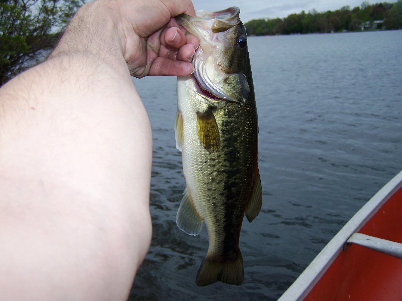 Another good bass May 14th