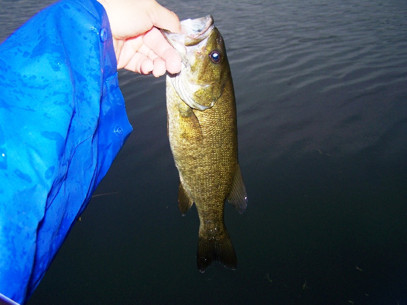 Over 1lb smallie