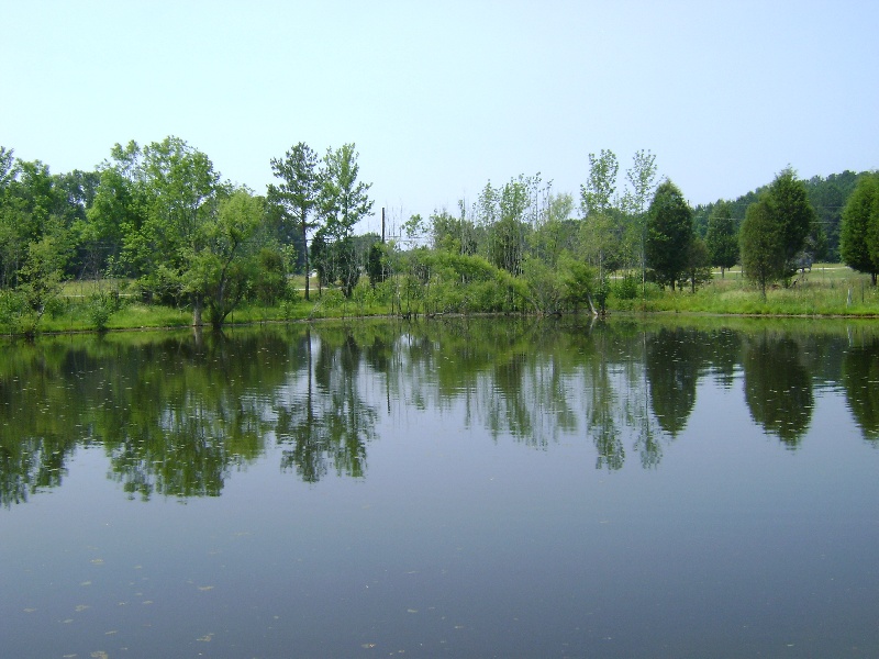 Crowder's Pond