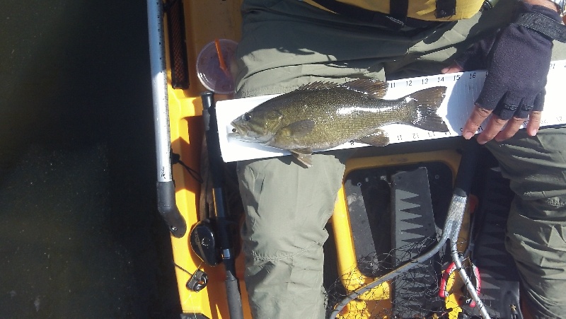 First smallmouth of 2012